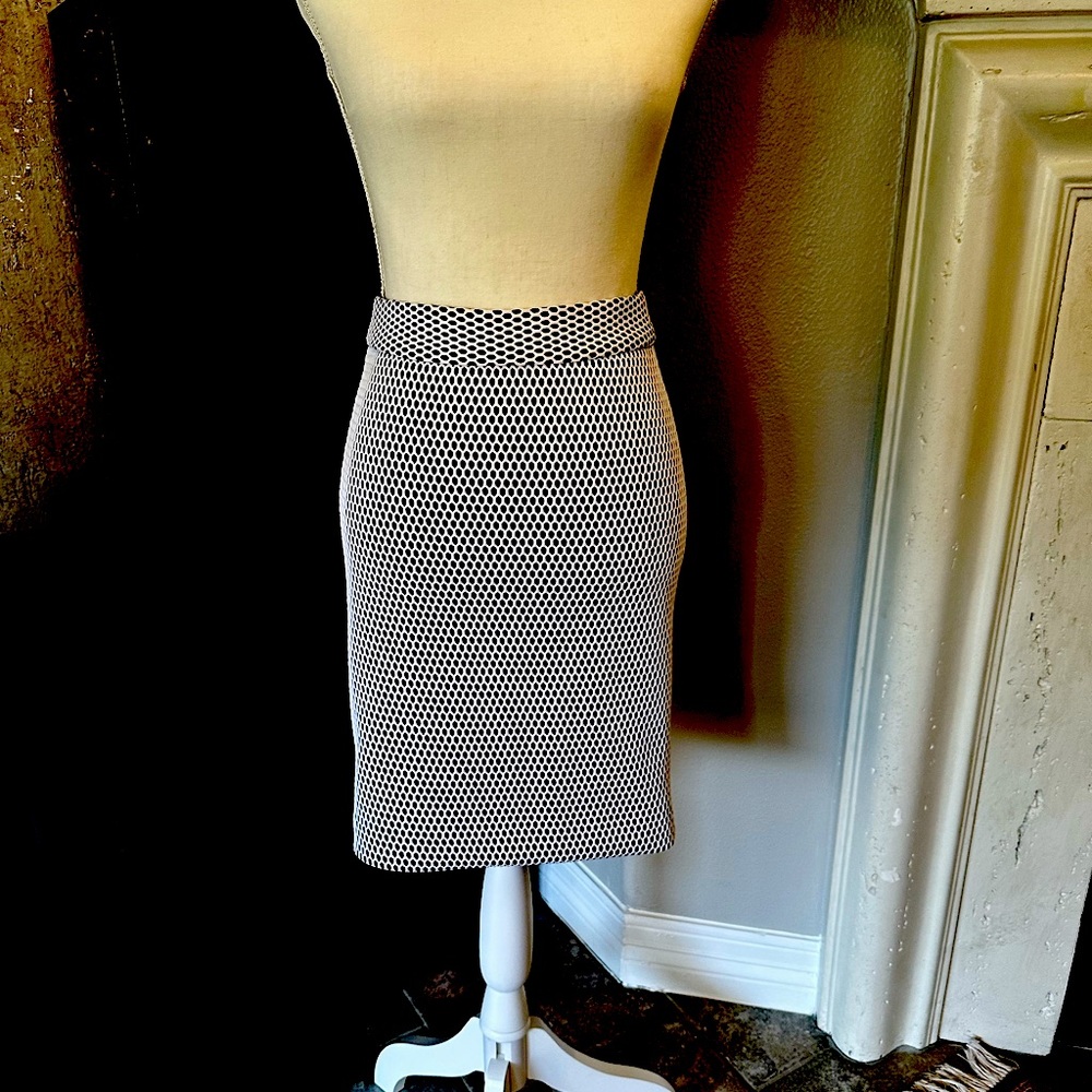 Banana Republic pencil skirt with zipper detail in back.